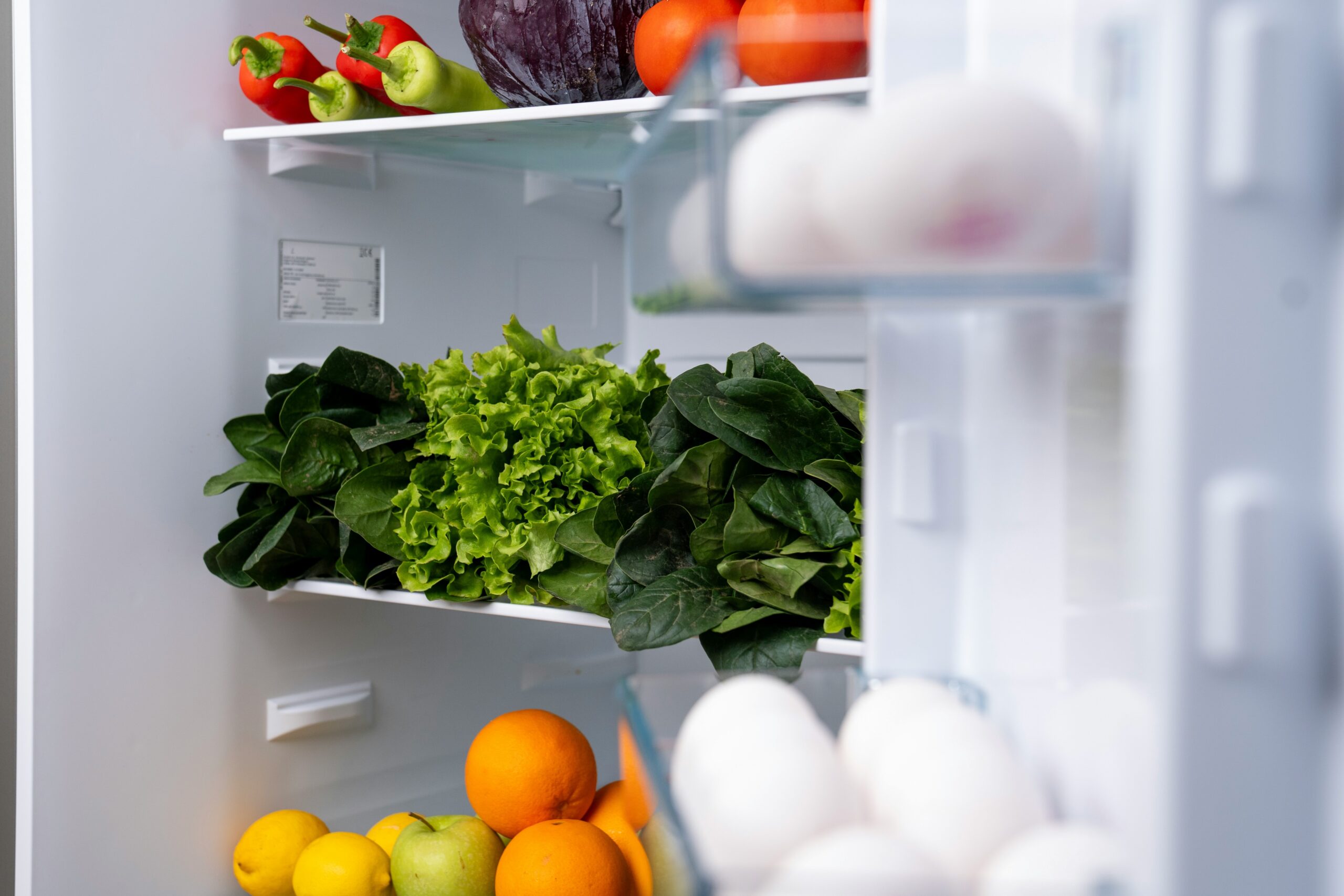 A chaotic fridge filled with spoiled groceries