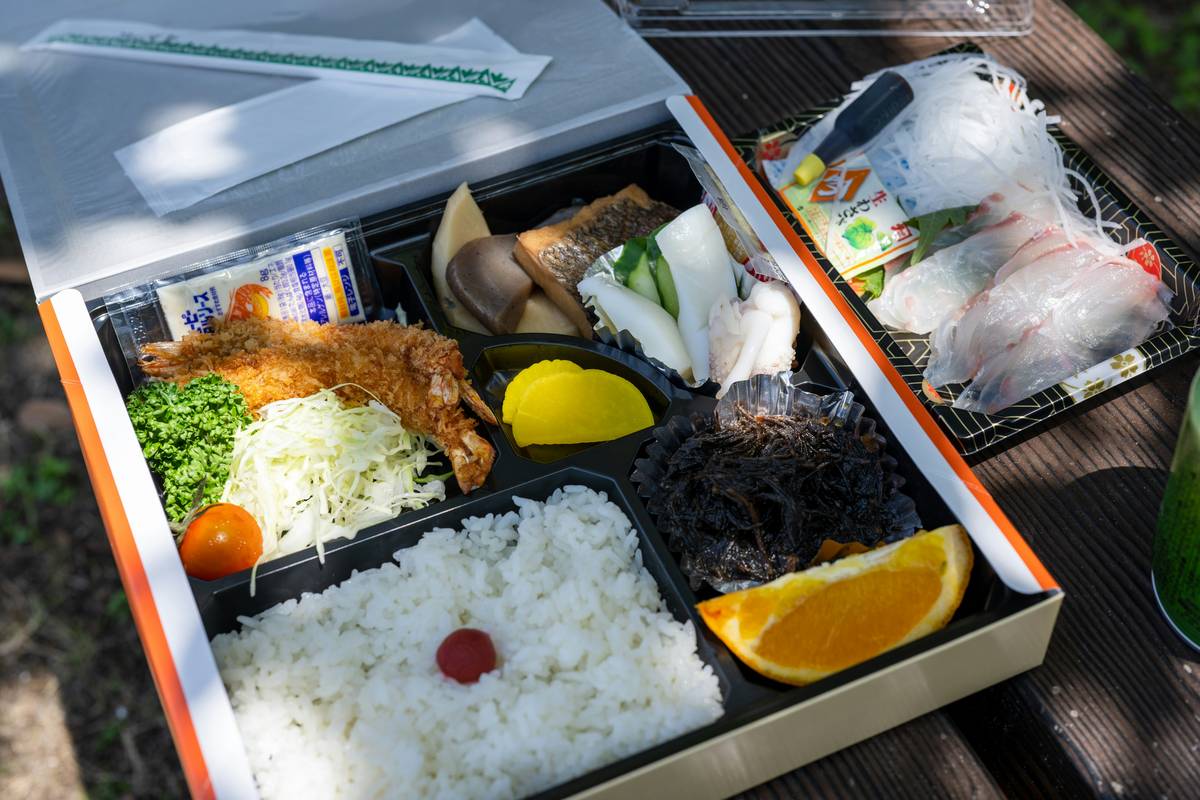 How to Master Your Nutritious Diet Plate with BistroMD's Specialty Food Delivery
