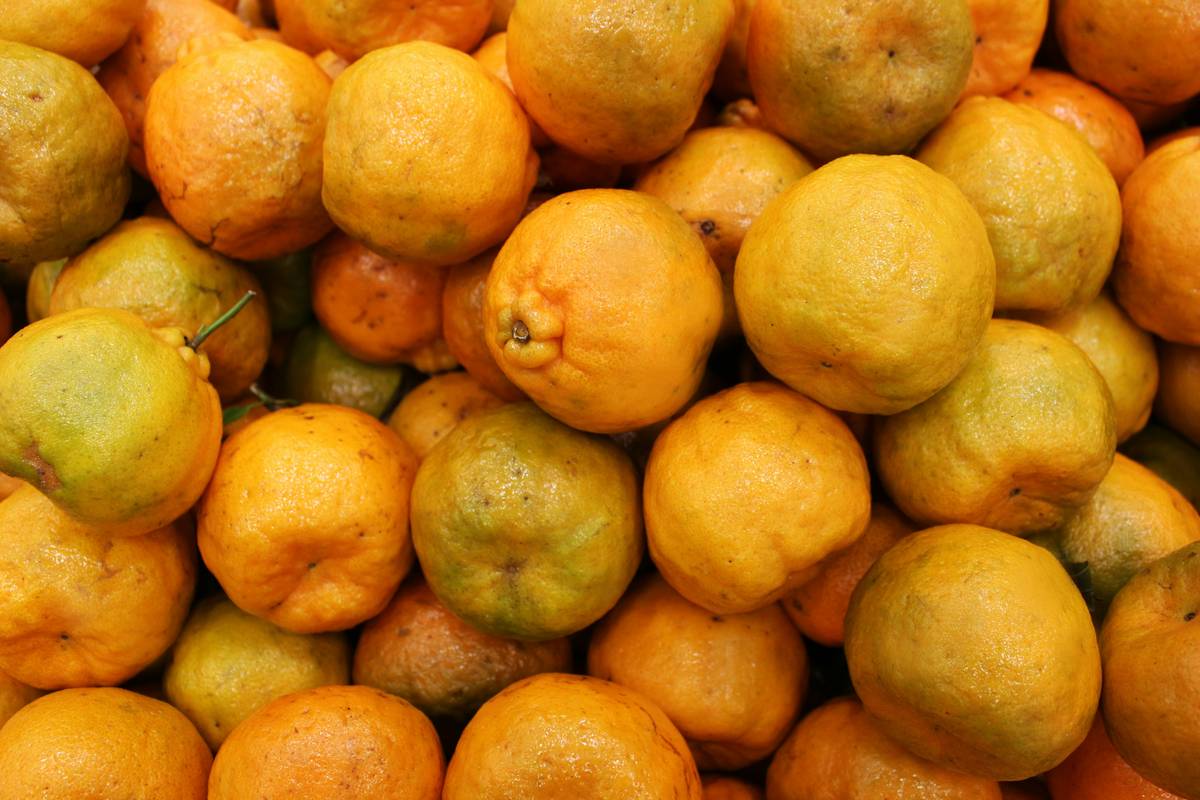 Your Health-Conscious Plate: Why BistroMD is Revolutionizing Specialty Foods & Meal Delivery