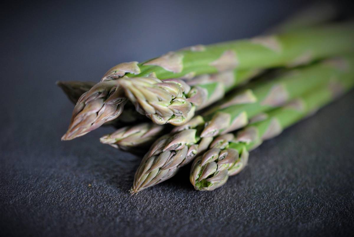 How BistroMD Delivers the Perfect Balanced Health Meal (Without Stressing You Out)