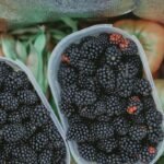 Is the Bistro MD Diet Delivery Service Right for You? A Real Talk Guide from a Wellness Insider