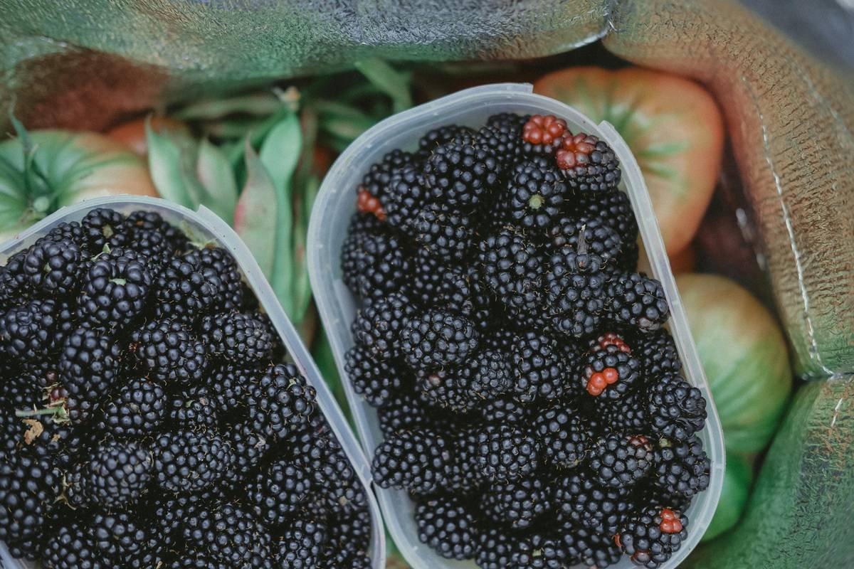 Is the Bistro MD Diet Delivery Service Right for You? A Real Talk Guide from a Wellness Insider